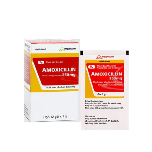 Thuốc Amoxicillin 1g - Bidiphar