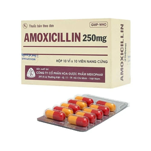 Thuốc Amoxicillin 250mg - Mekophar