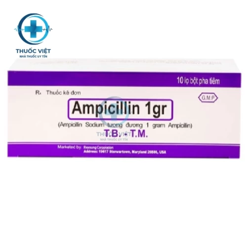 Thuốc Ampicillin sodium for Injection 1g