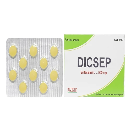 Thuốc Dicsep 500 mg - ME DI SUN