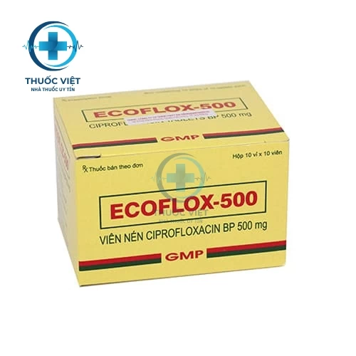 Thuốc Ecoflox 500 - Medley Pharmaceuticals Ltd