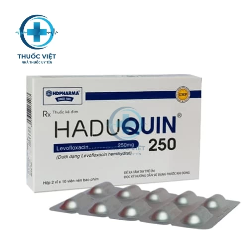 Thuốc Haduquin 250 - HDPHARMA