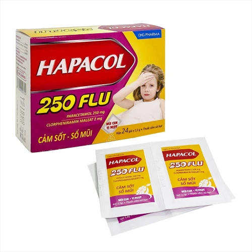 Thuốc Hapacol 250 - DHGPharm