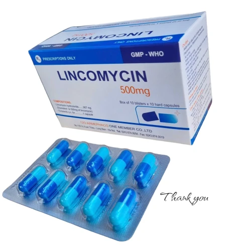 Thuốc Lincomycin - Armephaco