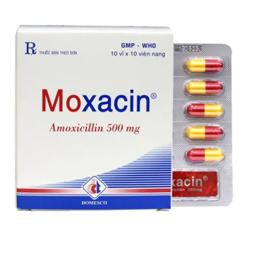 Thuốc Moxacin 500 mg - Domesco