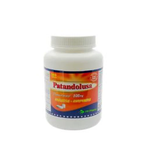 Thuốc Patandolusa 500mg - Phong Phú