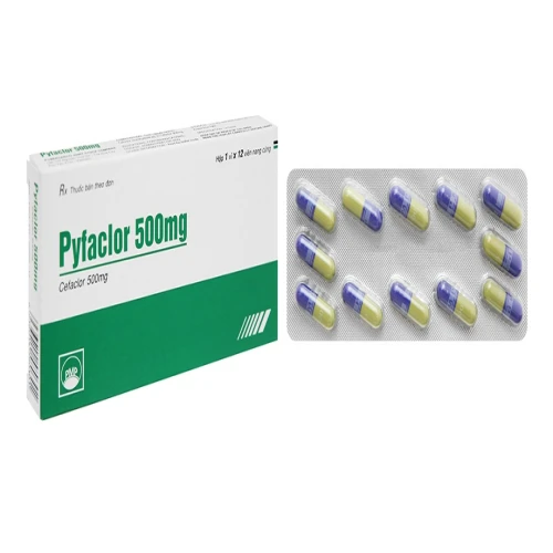 Thuốc Pyfaclor 500mg - Pymepharco