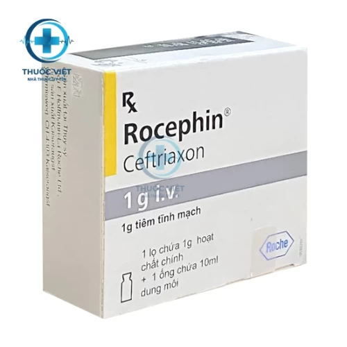 Thuốc Rocephin 1g I.V - F.Hoffmann-La Roche Ltd