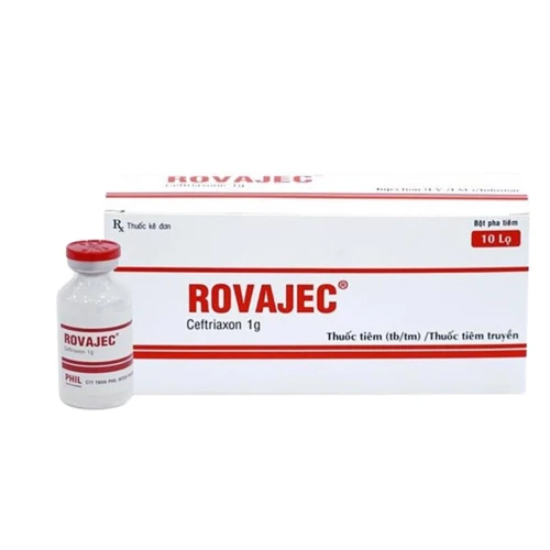 Thuốc Rovajec 1gam - Phil Inter Pharma