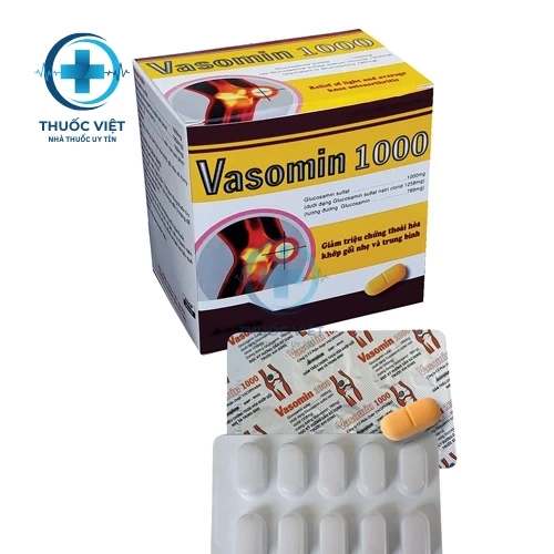 Thuốc Vasomin 1000 - Vacopharm