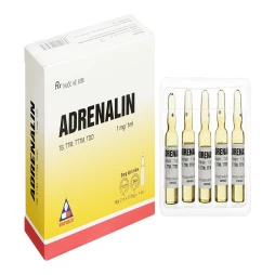 Thuốc Adrenalin 1mg/1ml - Minh Dân