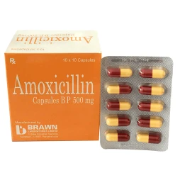 Thuốc Amoxicillin 500 mg - Domesco