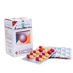 Thuốc Amoxycilin 250mg - VIDIPHA