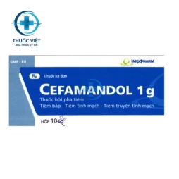 Thuốc Cefamandol 1g - Pharbaco