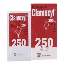 Thuốc Clamoxyl 250 mg/gói