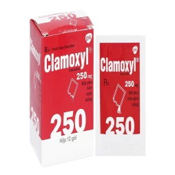 Thuốc Clamoxyl 250mg - Glaxo Wellcome Production