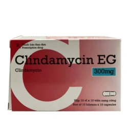 Thuốc Clindamycin EG 300mg