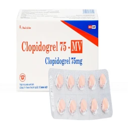 Thuốc Clopidogrel 75 - MV - US Pharma USA