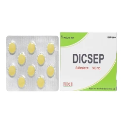 Thuốc Dicsep 500 mg - ME DI SUN