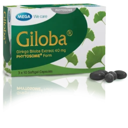 Thuốc Giloba 40mg chiÕt xuÊt Ginkgo Biloba