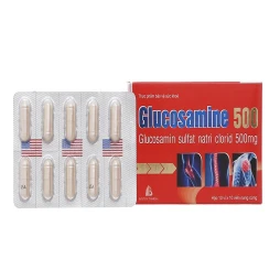 Thuốc Glucosamine 500 - TV.Pharm