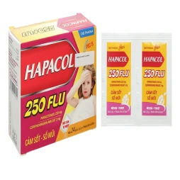 Thuốc Hapacol 250 Flu - DHGPharm