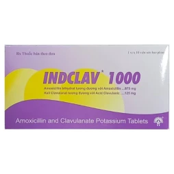 Thuốc Indclav 1000 - Indchemie Health Specialities Pvt. Ltd