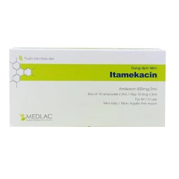 Thuốc Itamekacin 500 mg/2ml