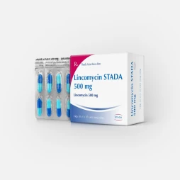 Thuốc Lincomycin STADA 500 mg