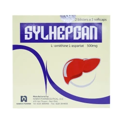 Thuốc Sylhepgan 500mg - Nam Hà