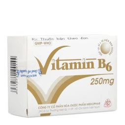 Thuốc Vitamin B6 250mg - Mekophar